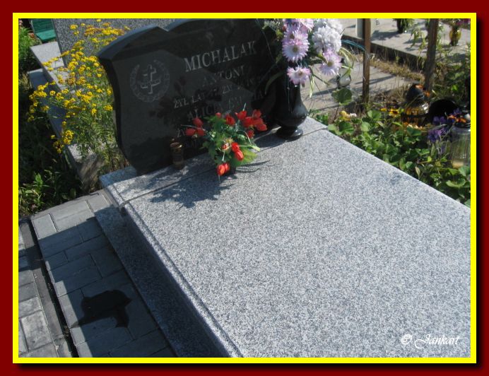 Michalak A.A.